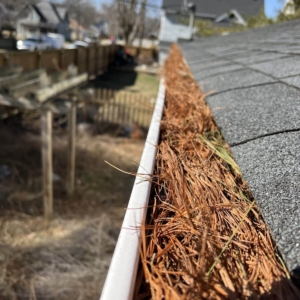 Clean Gutters Professionally in Indianapolis IN