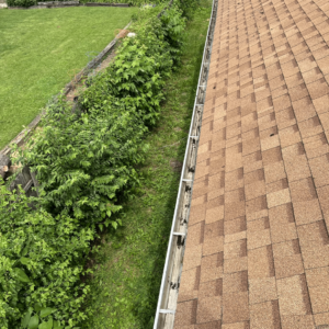 Professional Gutter Cleaning Company in Indianapolis IN
