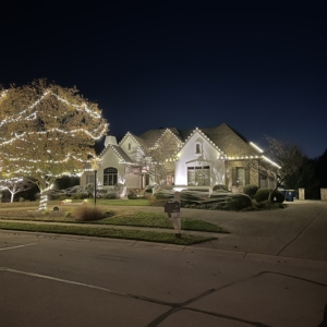Professional Holiday Lighting Company in Indianapolis