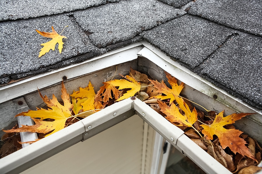 Take Care of Your Gutters This Fall to Protect Your Home