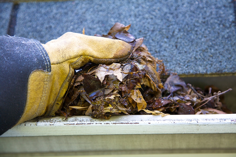 Top 4 Signs Your Gutters Need Professional Cleaning This Fall