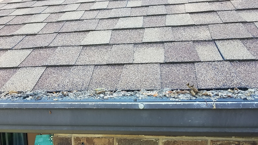 Gutter Guards: Prepare Your Gutters for the Fall Season Now