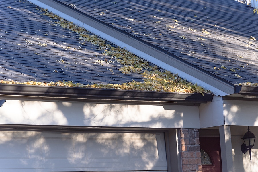 Is Your Roof Due for a Cleaning? 4 Signs to Watch For